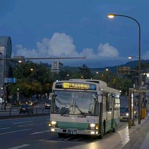 丝袜老女人性猛交视频
