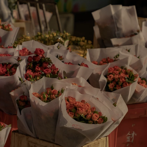 丝袜老女人性猛交视频
