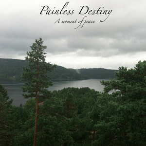 丝袜老女人性猛交视频
